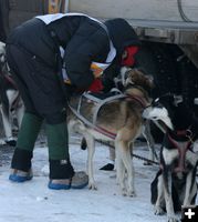 Krista Halsnes and dogs. Photo by Dawn Ballou, Pinedale Online.