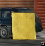 Right Lane Ends. Photo by Dawn Ballou, Pinedale Online.