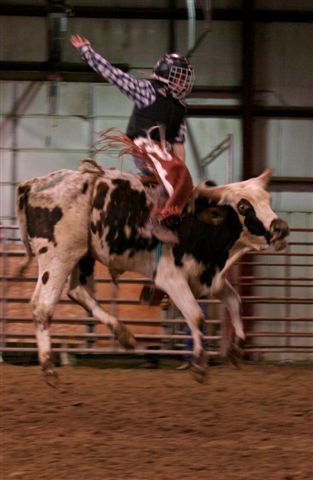 Bull Ride 23. Photo by Carie Whitman.