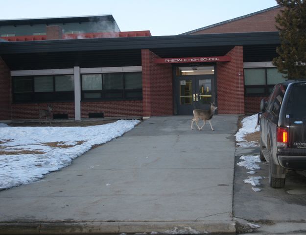 High School Entrance. Photo by Pam McCulloch, Pinedale Online.