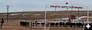 Sublette County Fairgrounds. Photo by Carie Whitman.