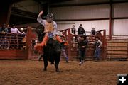 Bull Ride 22. Photo by Carie Whitman.