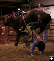 Bull Ride 26. Photo by Carie Whitman.