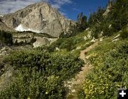 Washakie Pass Trail. Photo by Dave Bell.