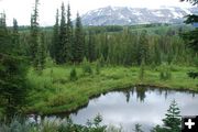 Pond. Photo by Ruth Neely, Bucky's Outdoors.