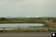 Horse Creek 1. Photo by Dawn Ballou, Pinedale Online.