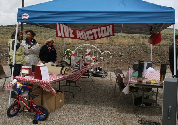 Auction. Photo by Pam McCulloch, Pinedale Online.