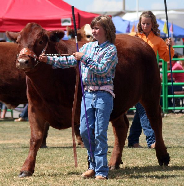 Shelby Pennock. Photo by Clint Gilchrist, Pinedale Online.