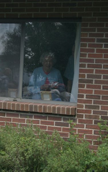 Window Watching. Photo by Pam McCulloch, Pinedale Online.