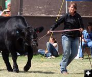 Kelsey Jensen. Photo by Clint Gilchrist, Pinedale Online.