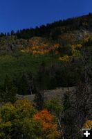 Mountain Side. Photo by Pam McCulloch, Pinedale Online.