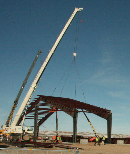 Cranes. Photo by Dawn Ballou, Pinedale Online.