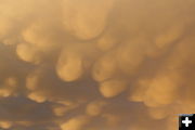 Mammatus clouds. Photo by Jennifer Frazier.