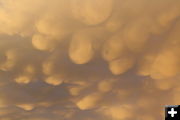 Mammatus. Photo by Jennifer Frazier.