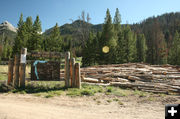 Firewood. Photo by Dawn Ballou, Pinedale Online.