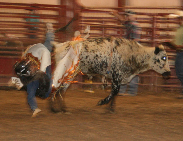 Dillon James. Photo by Dawn Ballou, Pinedale Online.