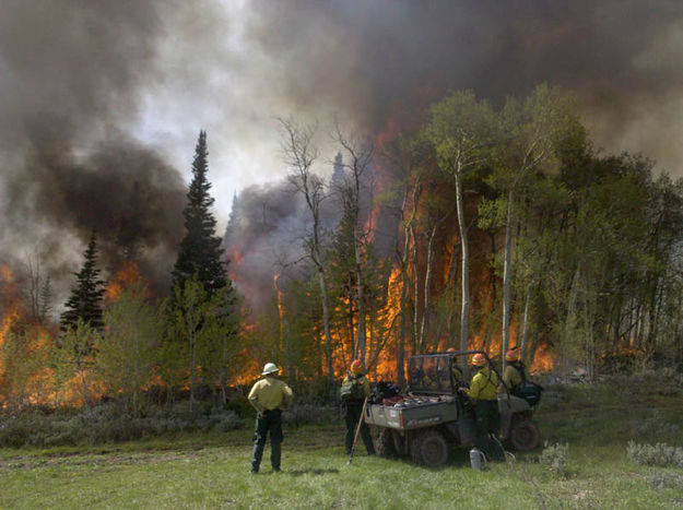 Controlled Burn. Photo by TJ Hunt.