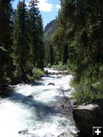 Fremont Creek. Photo by Scott Almdale.