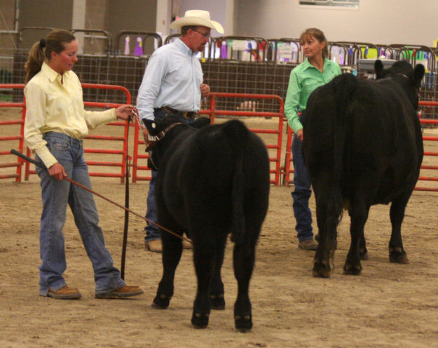 Petersen Cow/Calf. Photo by Clint Gilchrist, Pinedale Online.