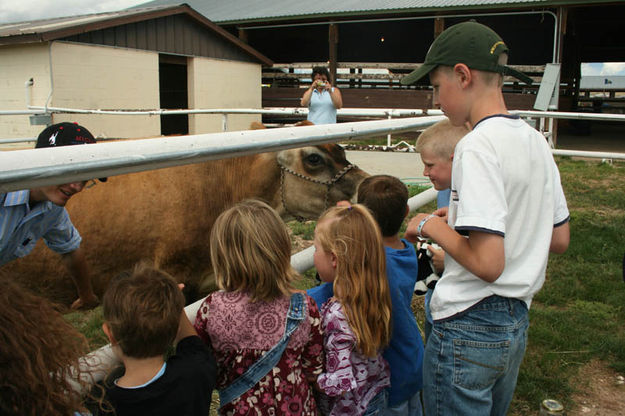 Kids Ag Connection. Photo by Dawn Ballou, Pinedale Online.