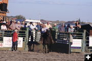 Pat Elam. Photo by Pam McCulloch, Pinedale Online.