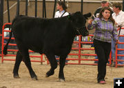 Rebecca Taylor. Photo by Clint Gilchrist, Pinedale Online.