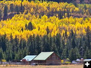 Merna Fall Colors. Photo by Scott Almdale.