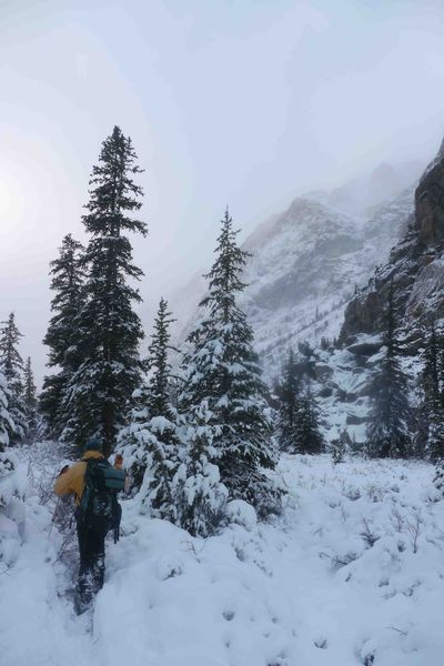 Ground search. Photo by Fremont County Sheriff's Office.