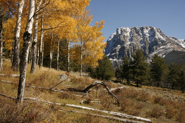 Flattop Fall. Photo by Fred Pflughoft.