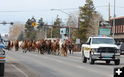 Horses through Pinedale. Photo by Debbee Miller.