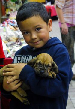 All I want for Christmas. Photo by Megan Rawlins, Pinedale Roundup.