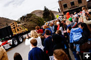 Bringing the tree in. Photo by David Swift.