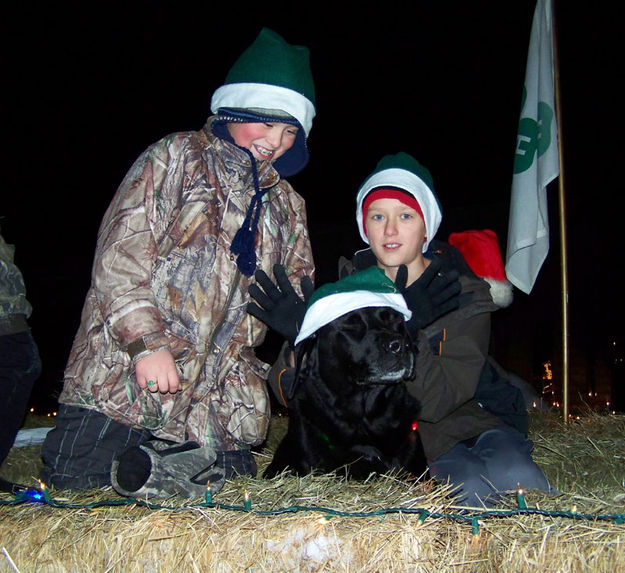 Reindeer dog. Photo by Ranae C. Lozier.