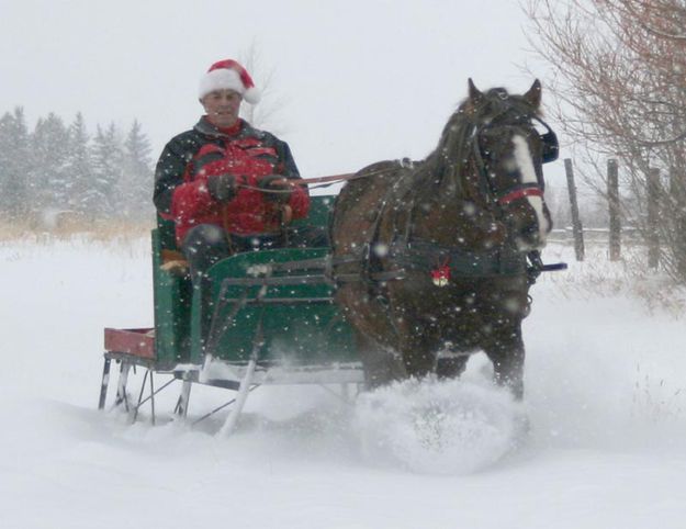 Sleigh Ride. Photo by Dawn Ballou, Pinedale Online.