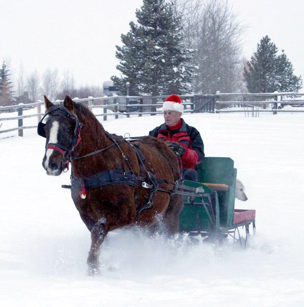 Through the snow. Photo by Dawn Ballou, Pinedale Online.