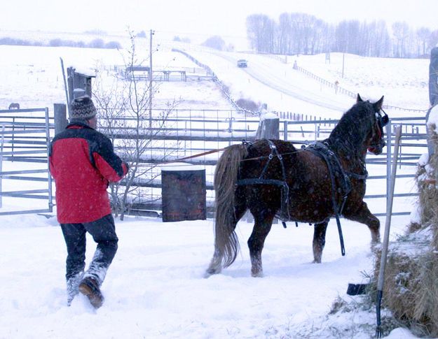 Warm Up. Photo by Dawn Ballou, Pinedale Online.