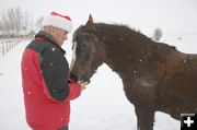 Reward. Photo by Dawn Ballou, Pinedale Online.