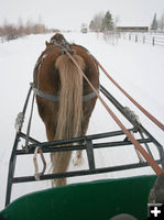 View from the sled. Photo by Dawn Ballou, Pinedale Online.