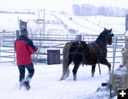 Warm Up. Photo by Dawn Ballou, Pinedale Online.