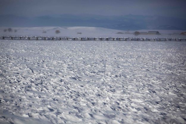 Wind Scoured Pasture. Photo by Pinedale Online.