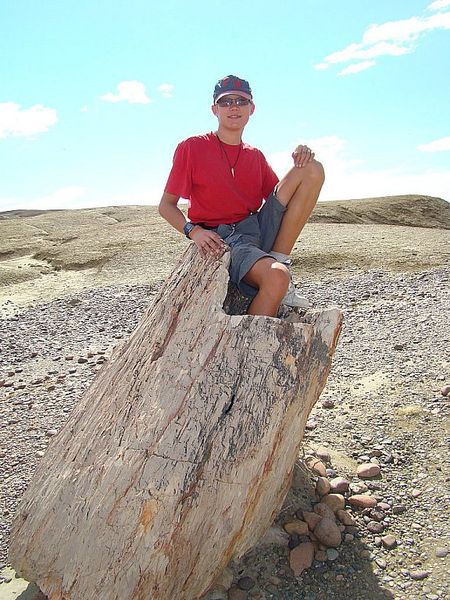 Petrified Wood. Photo by Family on Bikes.