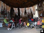 Sheep skins. Photo by Family on Bikes.