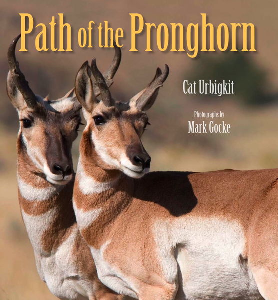 Path of the Pronghorn. Photo by Cat Urbigkit.