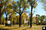 Lander Trail-New Fork River Crossing site. Photo by Derek Farr, Sublette County Historical Society.