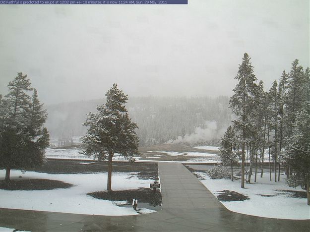 Old Faithful. Photo by National Park Service.