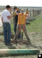 Digging. Photo by Dawn Ballou, Pinedale Online.