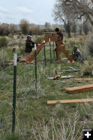 Over the fence. Photo by Dawn Ballou, Pinedale Online.