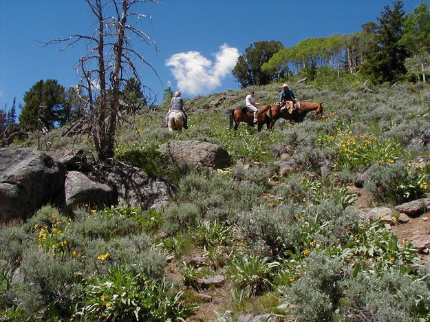 Horseback Riding. Photo by Dawn Ballou, Pinedale Online.