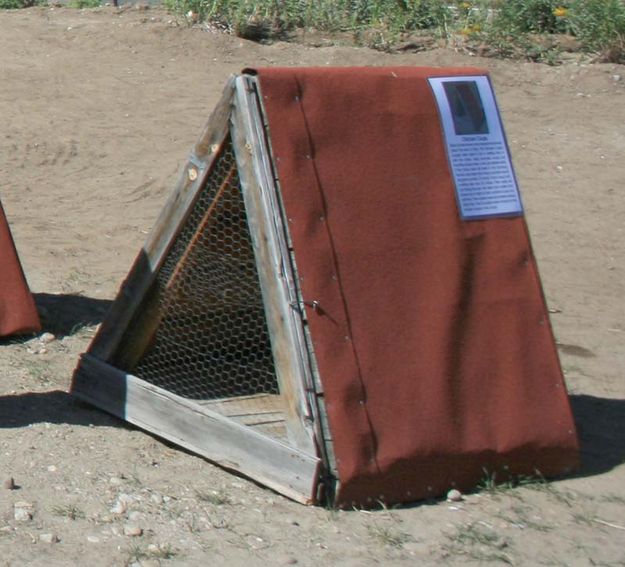 Chicken coup. Photo by Dawn Ballou, Pinedale Online.