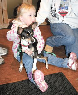 Furry friend. Photo by Joy Ufford, Sublette Examiner.